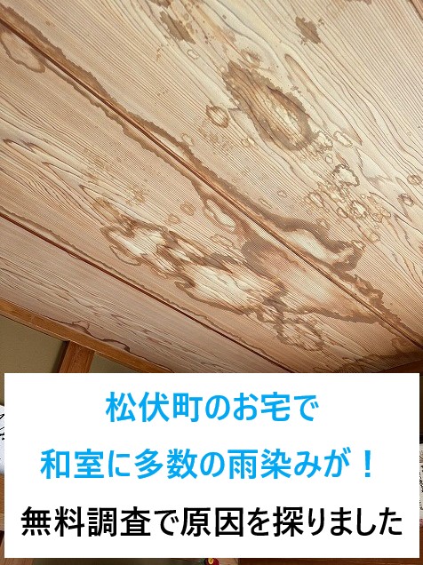 松伏町のお宅で和室に多数の雨染みが！無料調査で原因を探りました